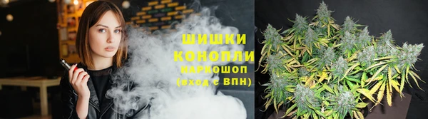 трава Осинники