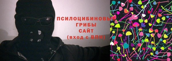 шишки Корсаков