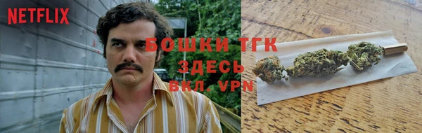 трава Осинники