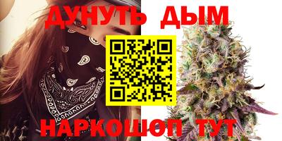 тгк Камышлов