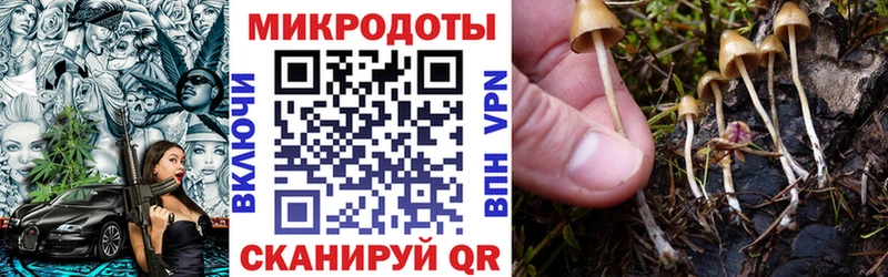 Галлюциногенные грибы прущие грибы  купить наркотики сайты  Приморско-Ахтарск 