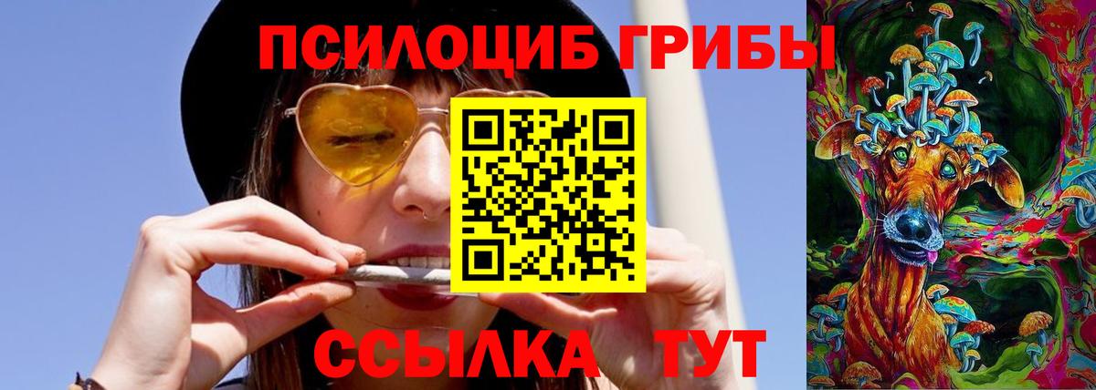 Псилоцибиновые грибы Psilocybe Приморско-Ахтарск